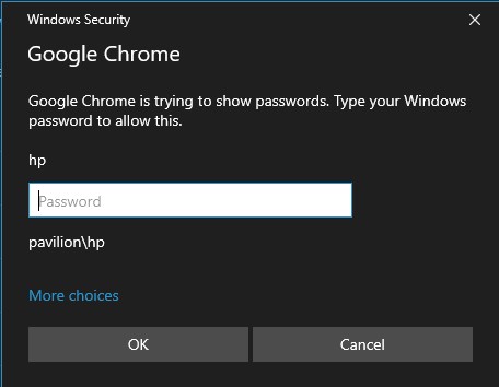 Google Chrome Type Windows password to view saved pwd