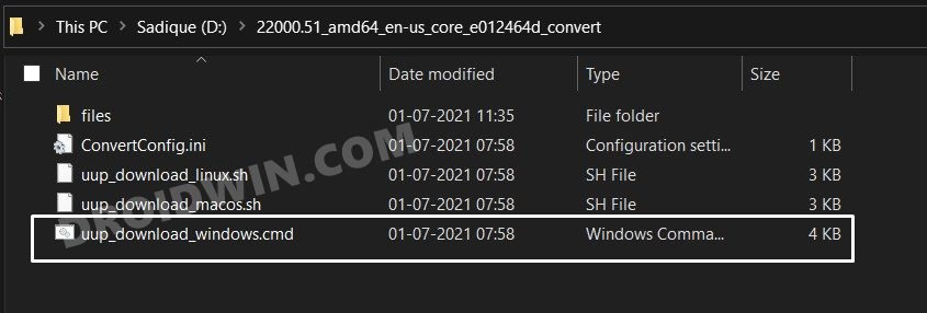 Windows 11 Insider Preview build files