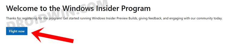 How to Install Windows 11 Insider Preview 
