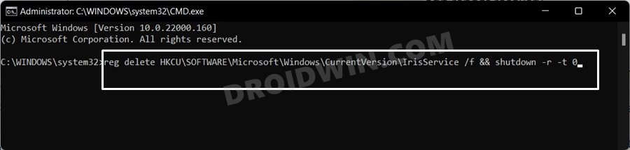 fix windows 11 beta update crash