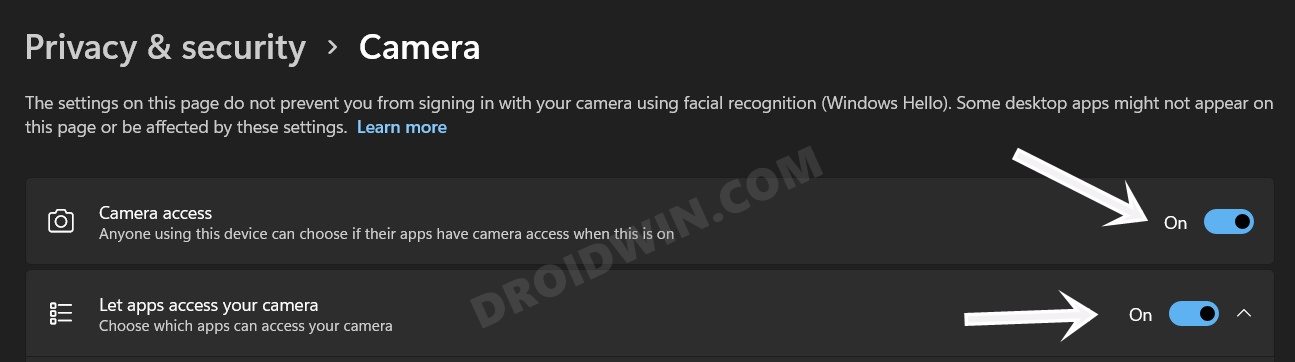 Fix Camera Not Working in Windows 11 camera permission