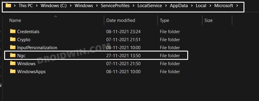 delete ngc folder windows 11 fix pin not working