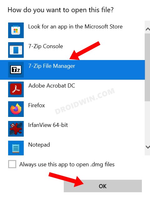 open DMG file in Windows 11