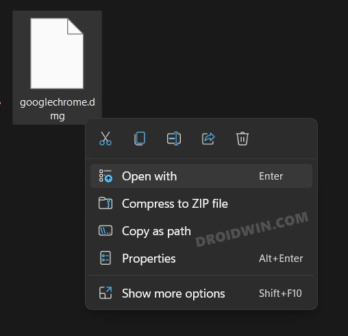 open DMG file in Windows 11