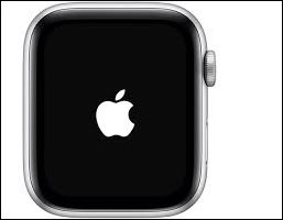 Apple Watch Swipe Up Gesture not working