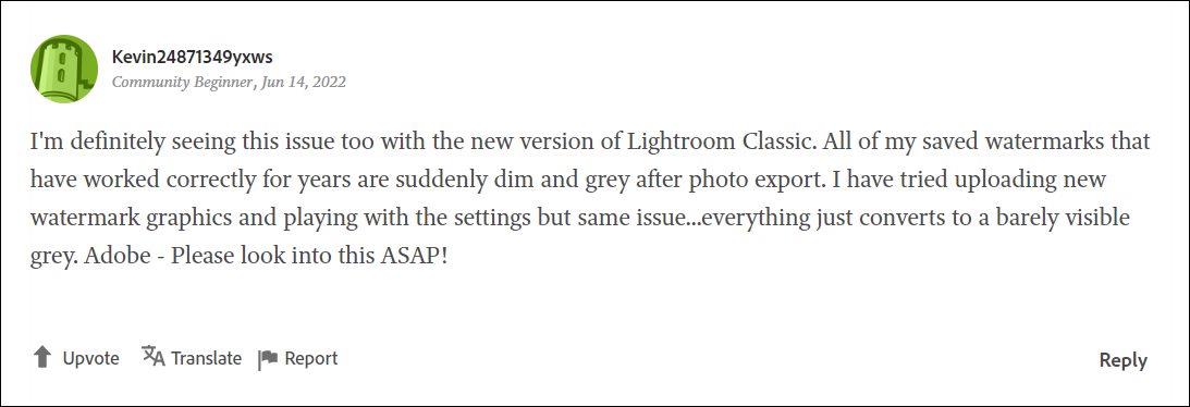 Adobe Lightroom Classic Grey Watermark after Export 