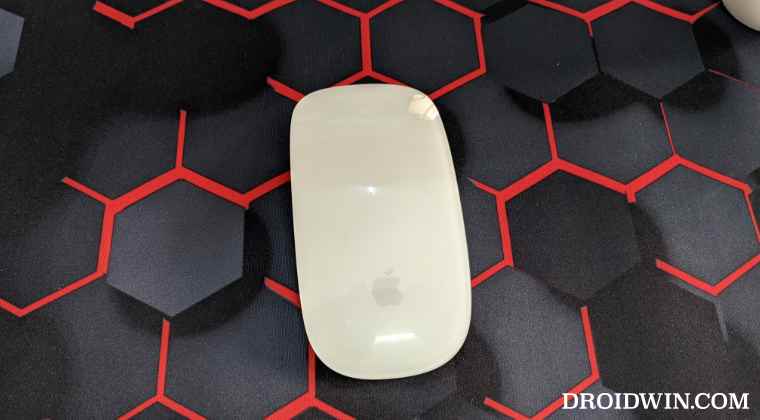 Apple Magic Mouse not working