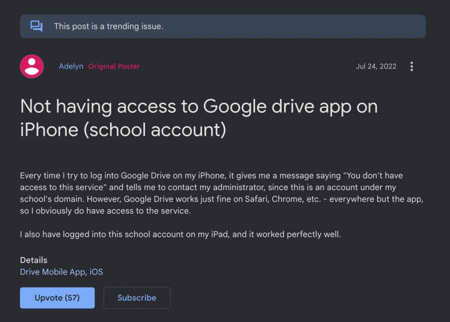 Google Drive You don't have access to this service