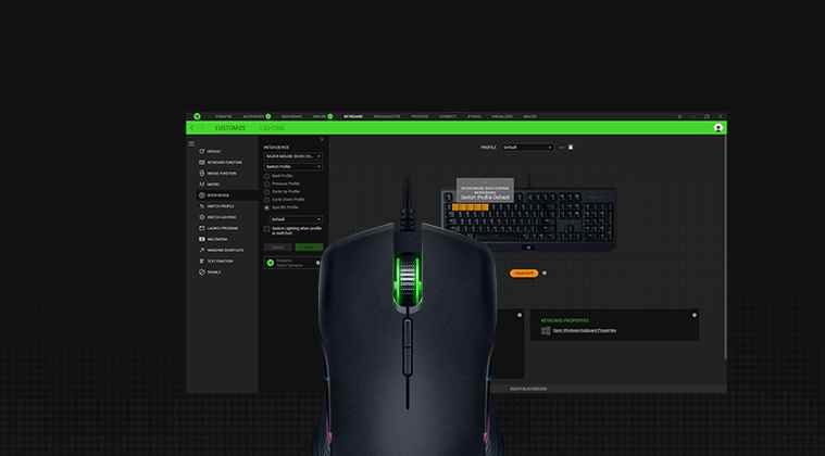 Razer Synapse Cannot Detect Device