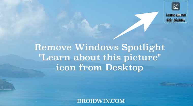 Remove Windows Spotlight  Learn about this picture  icon from Desktop - 45