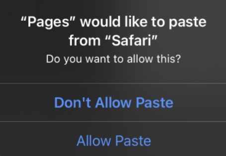 Allow Paste in iOS 16
