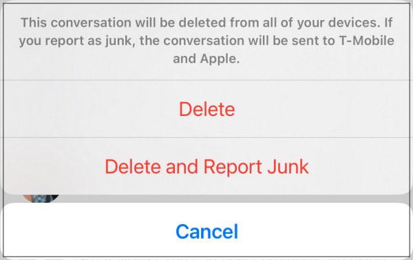 delete and report junk ios 16