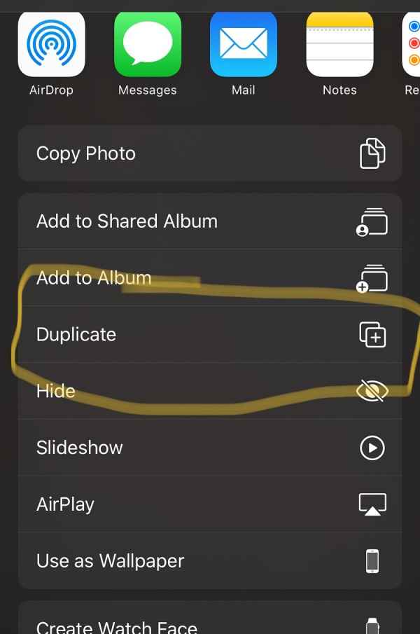 Duplicate Photo option missing in iOS 16