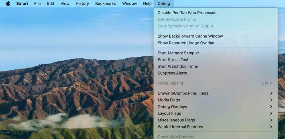 enable safari debug menu