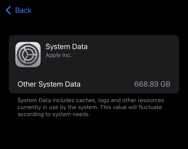 iPhone 14 Pro Max System Data Storage Full