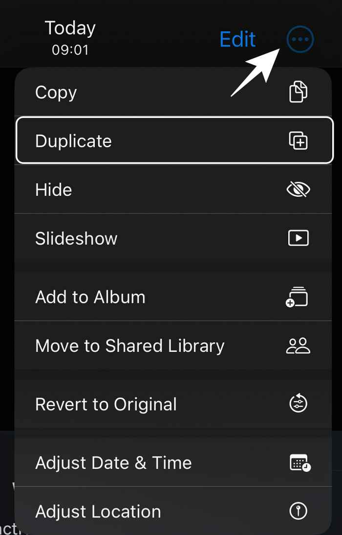 Duplicate Photo option missing in iOS 16