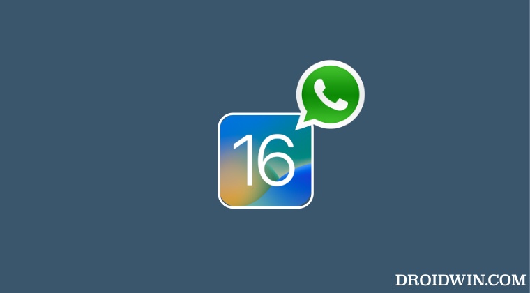 WhatsApp crashing when sending an image in iOS 16