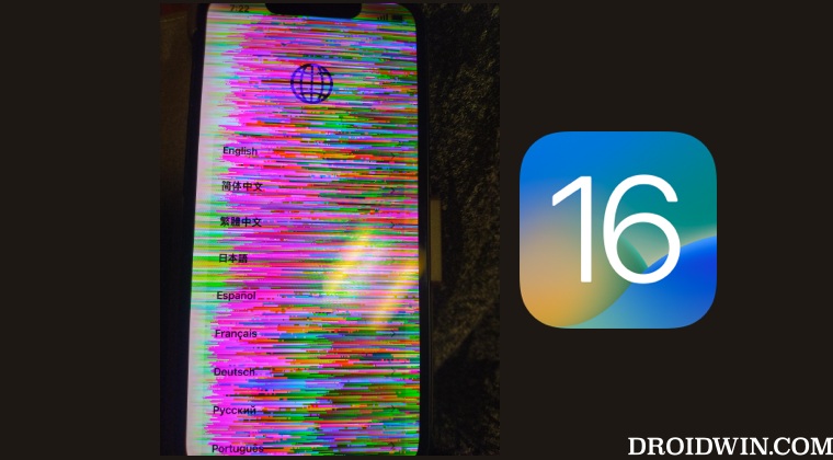 iPhone 13 Display Issue iOS 16