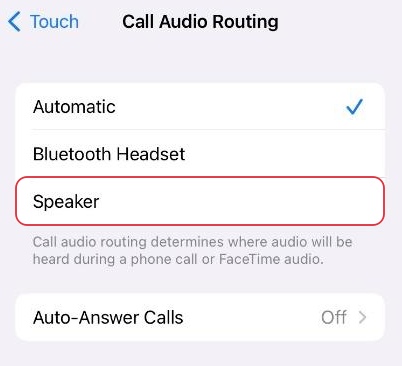 iphone speaker options in call