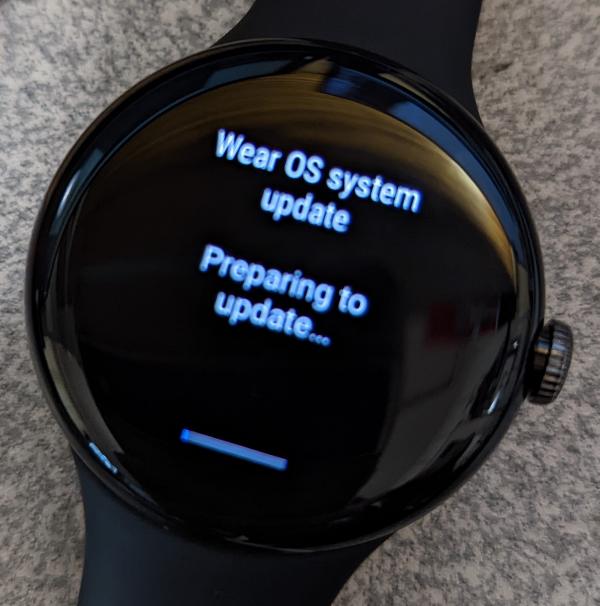 Cannot Download December Update on Pixel Watch