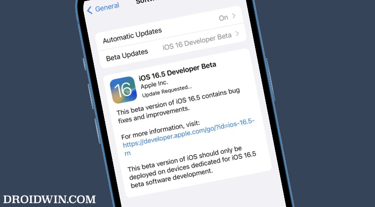 iOS 16.5 Developer Beta Update missing