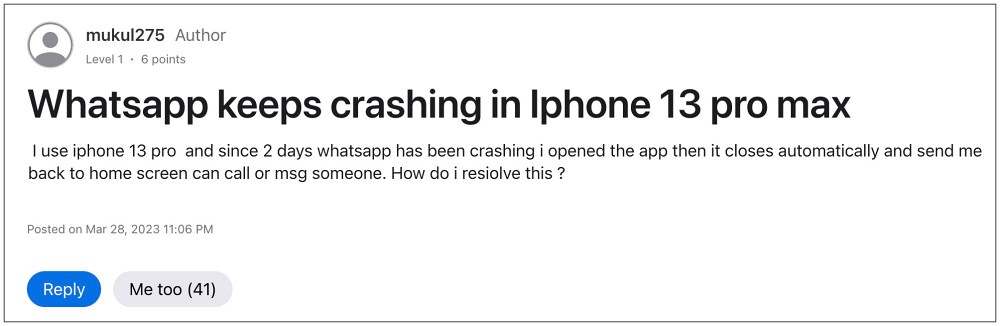 WhatsApp Crashing on iPhone 13 Pro Max