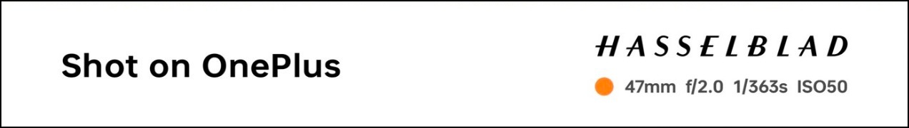 Добавить снимок на водяной знак OnePlus Hasselblad