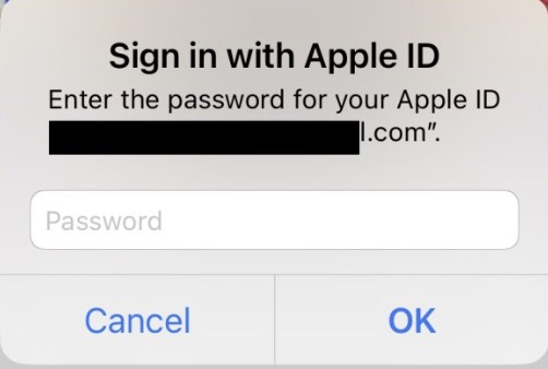 Sign in with Apple ID prompt iphone