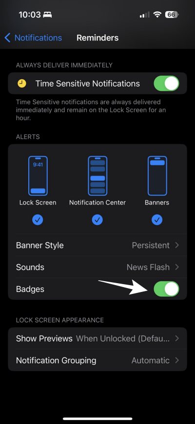 Apple Reminder App Not Displaying Badges