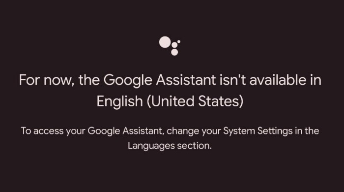 For Now The Google Assistant isn't available in your language