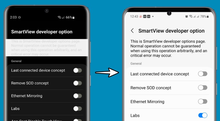 Password for Samsung SmartView Developer Options