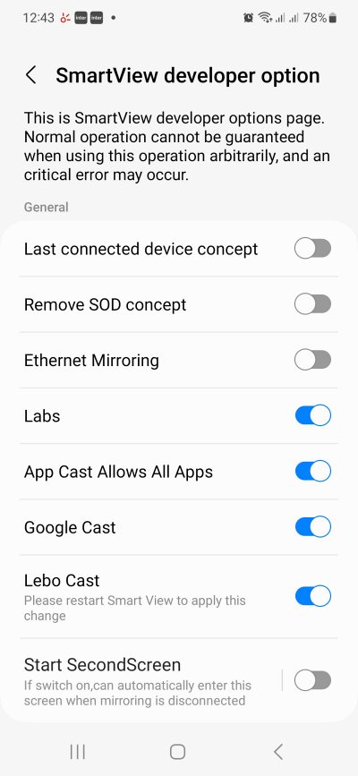 Password for Samsung SmartView Developer Options