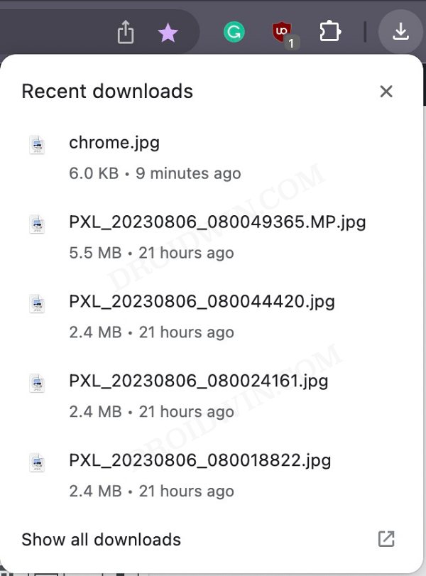 Chrome Downloads Bottom Bar