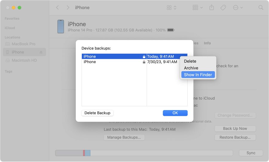 Transfer iPhone Backup to PC