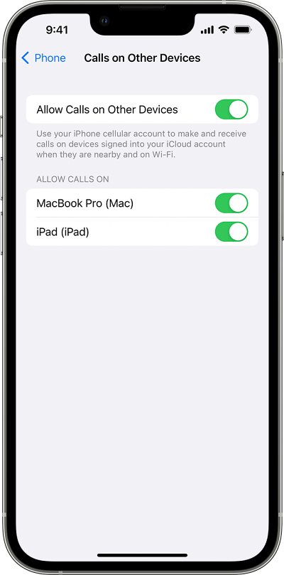 iPad shown in iPhone Call Audio Menu