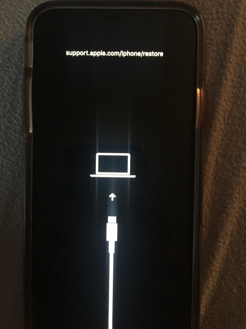 boot iphone 15 pro to recovery mode