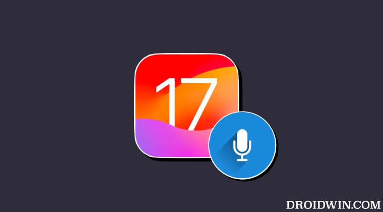 iPhone Microphone not working on iOS 17