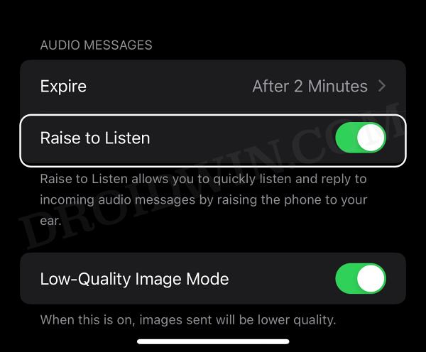 Voice Recording icon in Messages iPhone