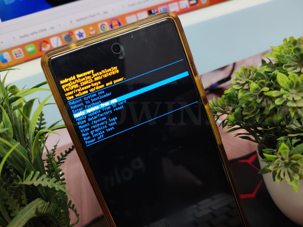 Anti Rollback Pixel 6 8 May 2025